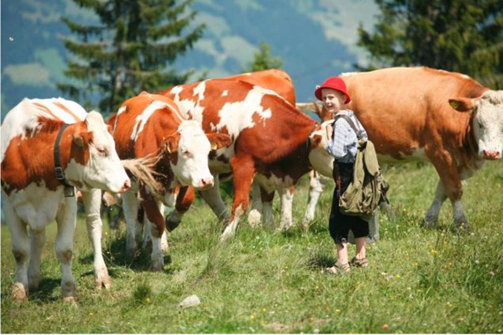 Vila Biobauernhof Fleckl Hopfgarten im Brixental Exteriér fotografie